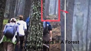 A Giant Grey Alien Was Seen By Hikers In A Forest In Bulgaria.