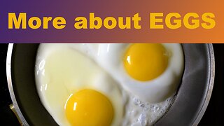 More About EGGS