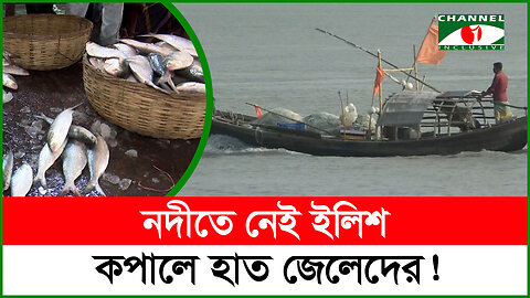 নদীতে নেই ইলিশ, কপালে হাত জেলেদের! | Ilish Fish | Meghna River