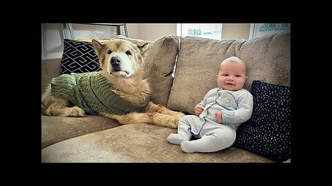 Adorable Howling Dogs Sing To Their Newborn Baby Brother! (Cutest Ever!!)