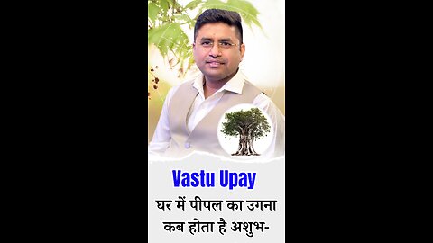 Vastu Upay घर में पीपल का उगना कब होता है अशुभ-