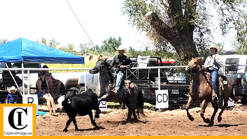 Youth Team Sorting 🐂 2023 Motley / Dickens Old Settlers Rodeo