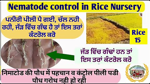 Nematode management in Rice Nursery discussed in the video