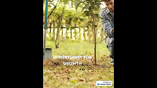 Opportunity for growth