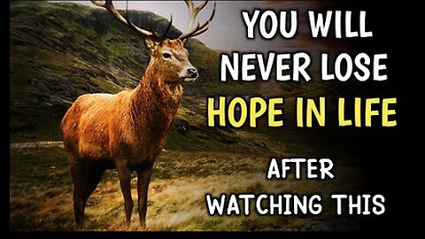How Never To Lose Hope . . .