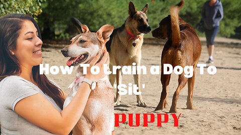 5 Dog Training Tips & Secrets in 5 Minutes || Smart Dog Training