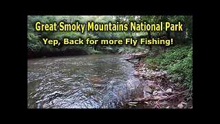 Great Smoky Mountains Fly Fishing | Painfully Slow but Caught a Few