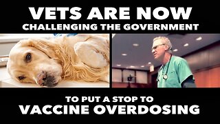 The Dangers of Vaccine Overdosing Pets