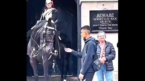 TikToker learns hard lesson after harassing a Kings Guard horseman in London.