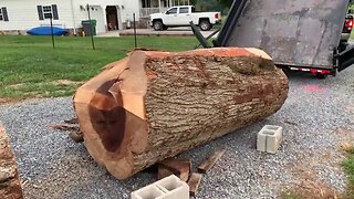 This Log Is Way Too Big For My Sawmill, A Sawyer's Vlog