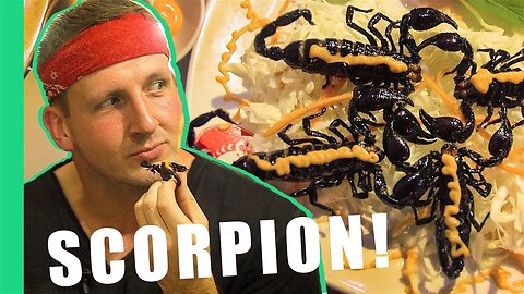 Eating Scorpion in Vietnam! - Bizarre Food Of Vietnam