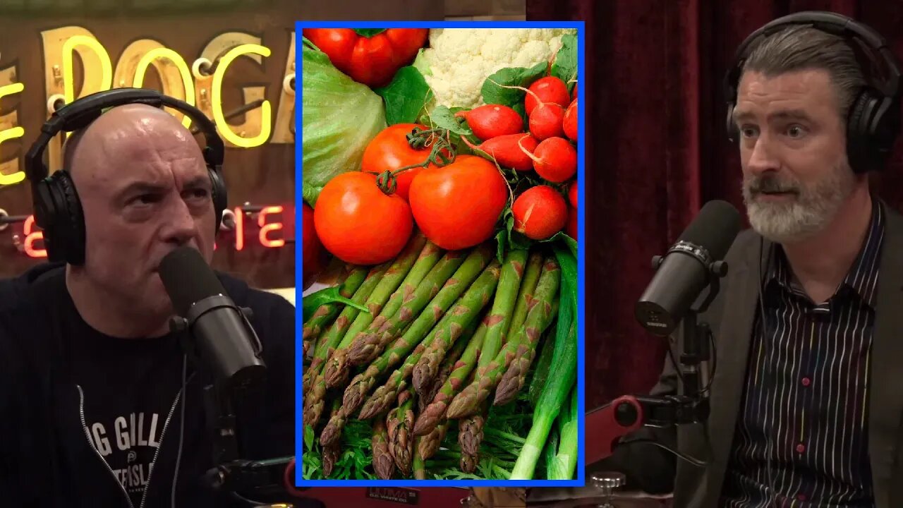 The Food Problem Joe Rogan Experience w/ Peter Zeihan