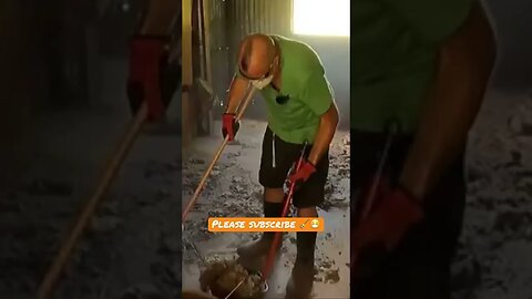 I Don’t Even Want to Deal With THIS! 😷🧹#shorts #viral #trending #tiktok #diy