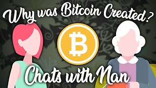 Why Was Bitcoin Created? Chats with Nan