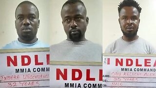 Lagos businessman, four other kingpins arrested as NDLEA busts trans-border cartel.
