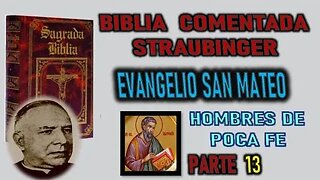 HOMBRES DE POCA FE - BIBLIA STRAUBINGER