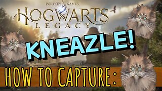 ⚡Where to Find and Capture the Kneazle in Hogwarts Legacy⚡