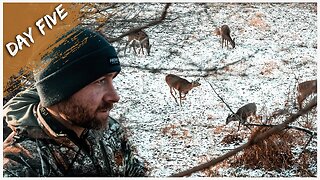 Hot Doe in January? Deer Everywhere | Late Season Bowhunting | Day 5