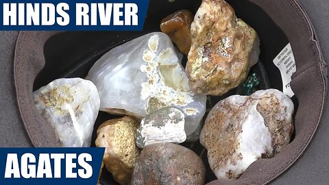 Hinds river New Zealand agate hunt - rockhounding in New Zealand