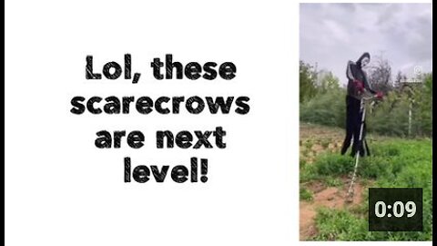 Lol, these scarecrows are next level!