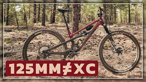 Review Canyon Spectral 125 CF 8 | Long-Term Test #mtb #canyonspectral #loamwolf
