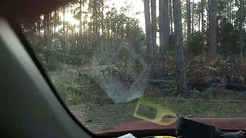 driving into my campsite-Matanzas State Forest