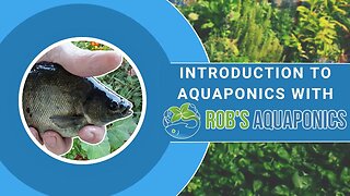 Introduction To Aquaponics