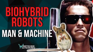 Biohybrid Robots: Man & Machine