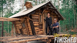 OFF GRID CABIN & HOMESTEAD | CHICKEN HOUSE | FINISHING THE PEN & DOOR