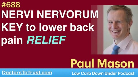 PAUL MASON 3b | NERVI NERVORUM is the KEY to lower back pain RELIEF