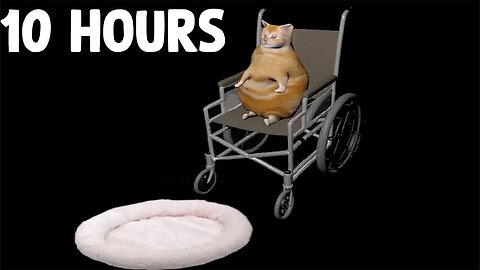 Cat Falling from a wheelchair Meme [10 HOURS]