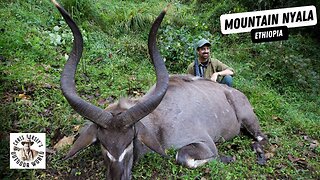 Monster Mountain Nyala in Ethiopia