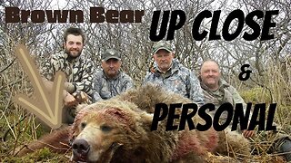 Brown Bear Up Close and Personal! Season 4 MDMM, Episode #2
