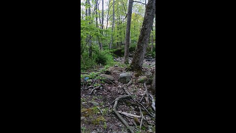 Crayfishing& Fishing Spot@Pascack Creek NYS