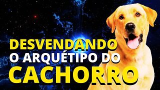 Desvendando o Arquétipo do Cachorro