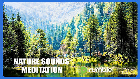 Meditation With Nature Sound & Meditation Music, Study Music Relaxing Music, Spa Music.