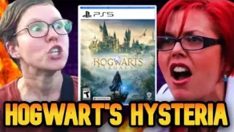 Hogwarts Hysteria: The Game That's Divide and Conquered!
