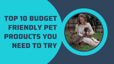 Top 10 Budget Friendly Pet Products You Need to Try