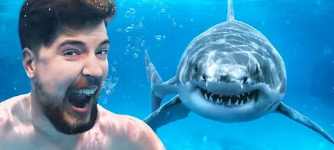 Would You Swim With Shark's For $100,000?