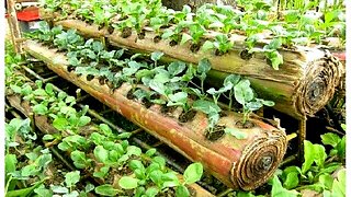 Amazing Farming ideas for Your Home & Garden