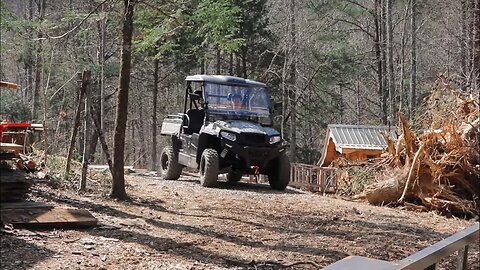 NEW PIG AT THE CABIN | NEW UTV | OFF GRID HOMESTEAD