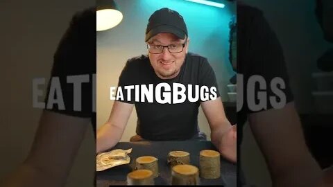 Eating ROASTED bugs and rating them for taste. 🤢