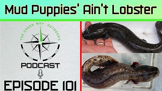Episode 101 - "Mudpuppies' Ain't Lobster" - The Green Way Outdoors Podcast