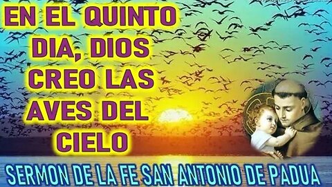 EL QUINTO DIA EL SEÑOR CREO LAS AVES DEL CIELO - SERMON DE SAN ANTONIO DE PADUA PARTE 6