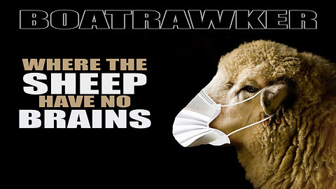 Where the Sheep Have no Brains by Screw U