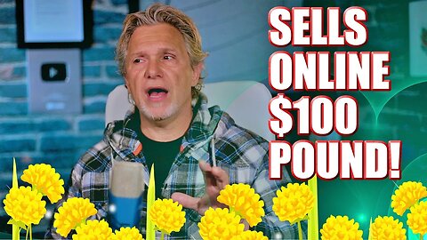 Small Business Idea - Selling DANDELIONS for $180 hr? & How to Make Dandelion Coffee at Home.