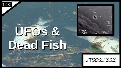 Dead fish & UFOs - JTS02132023