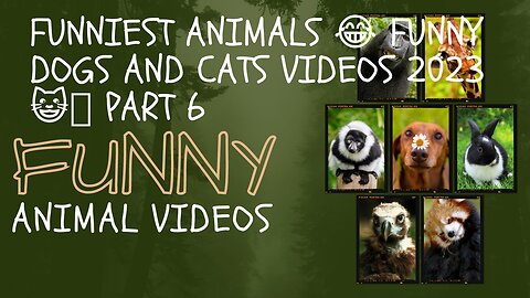 Funniest Animals 2023 😂 Funny Dogs and Cats Videos 😺🐶 Part 7