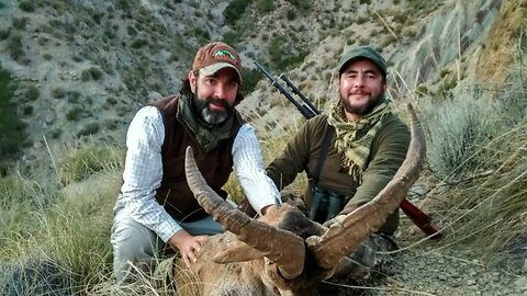 Hunting ibex in Spain