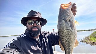 Bass Fishing in a River